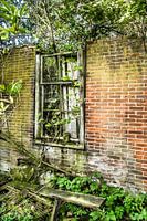 ruinous window