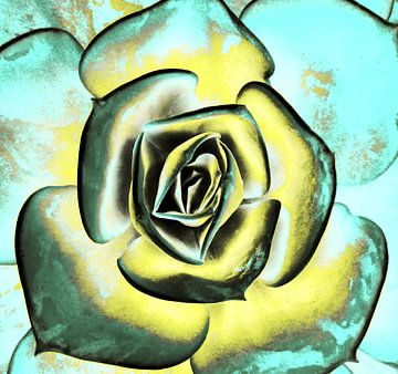 POPART OF SUCCULENTS II