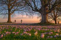 Der Frühling liegt in der Luft....