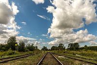 Einfaches Feld mit Millionen Zeilen