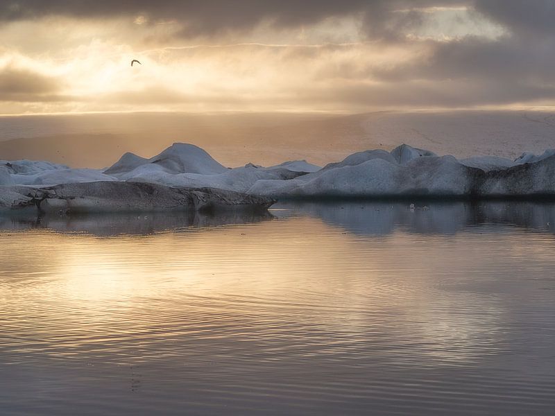 Jökulsárlón dreams by Roelof Nijholt