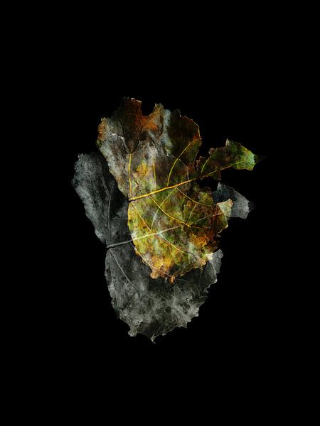 Reise II von Marianna Geraci