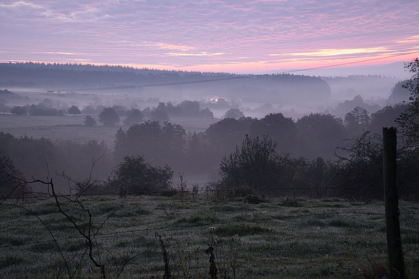 Baum auf einer Wiese bei Nebel zum Sonnenaufgang von Martin Köbsch