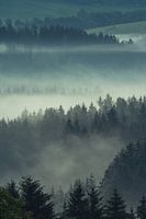 Foggy Bavarian Forest