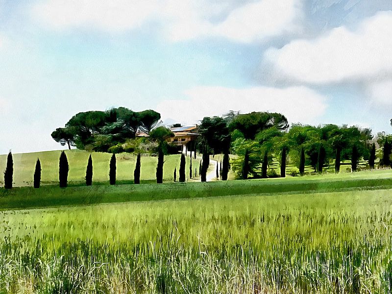 Zypressen ziehen die Blicke auf sich von Dorothy Berry-Lound