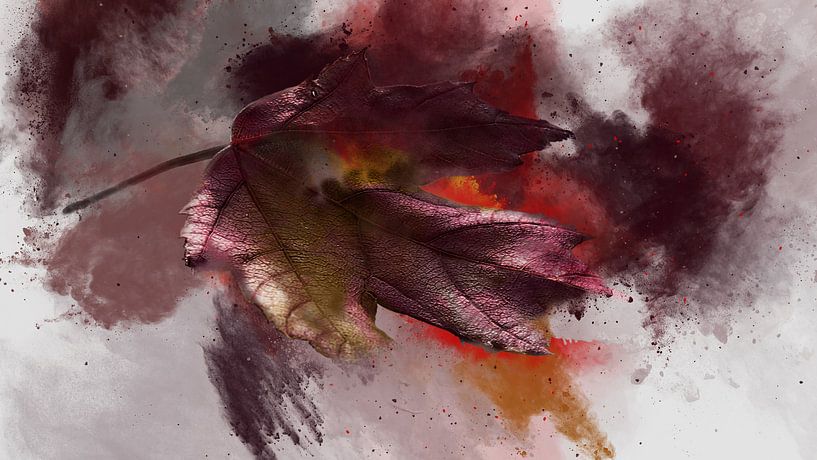 Herfst par Harry Stok