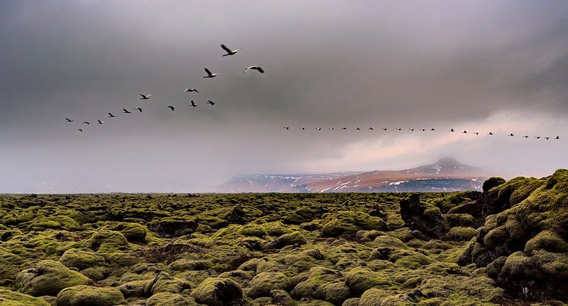 Assez de place... par Hans Vellekoop