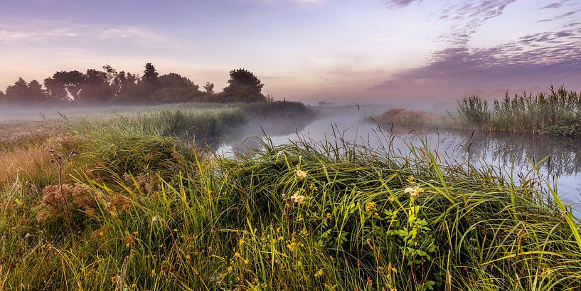 Fog over the water and meadow by Dafne Vos