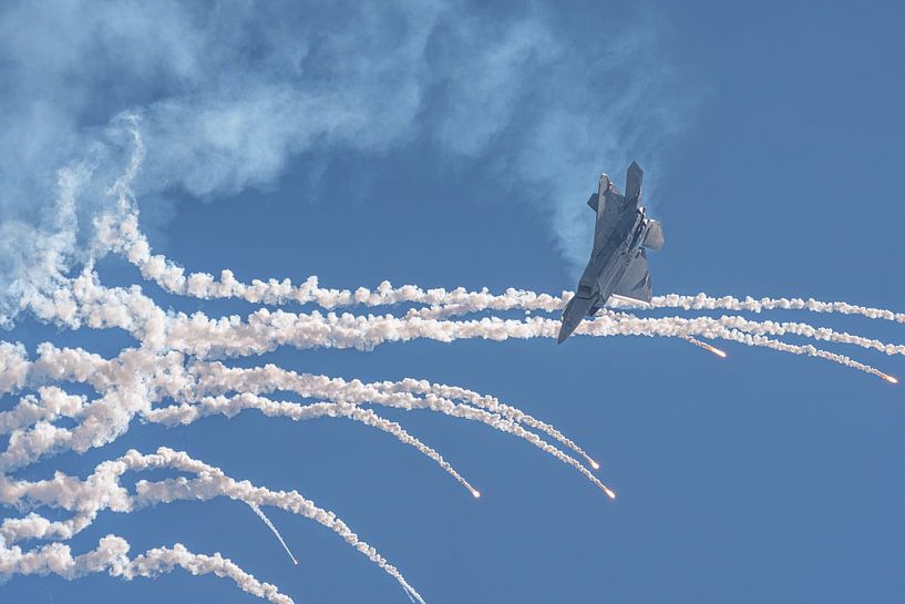 U.S. Air Force Lockheed Martin F-22 Raptor Demo Team. van Jaap van den Berg