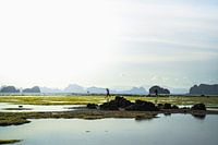 Fischer in thailändischer Landschaft