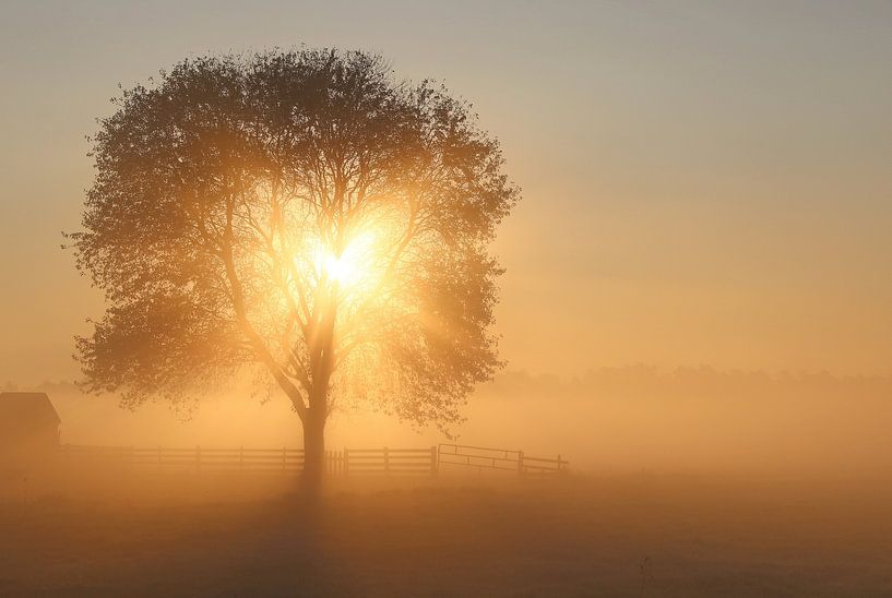 Heart by Trudy M. Simons-Pos