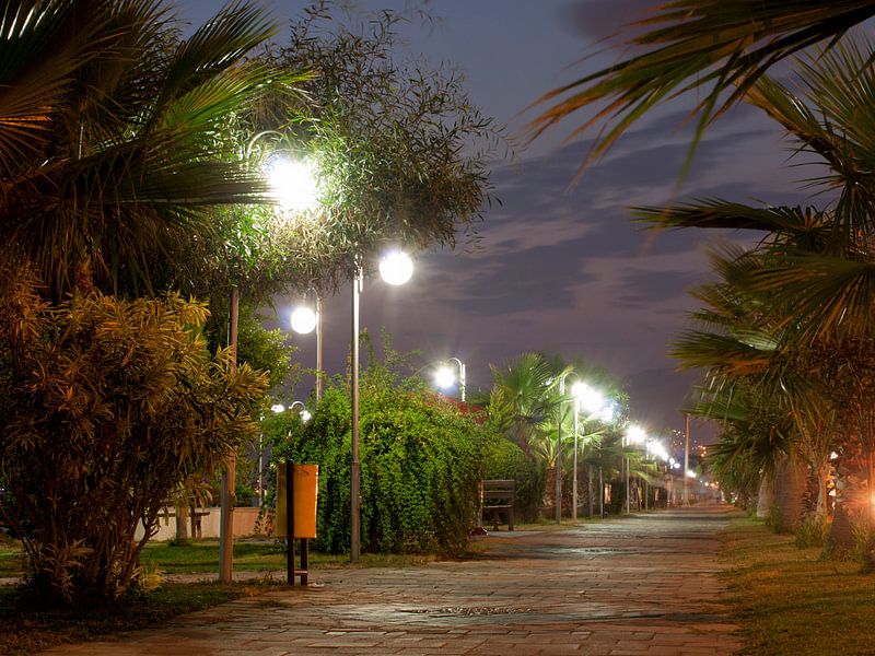 Boulevard bij nacht by P van Beek
