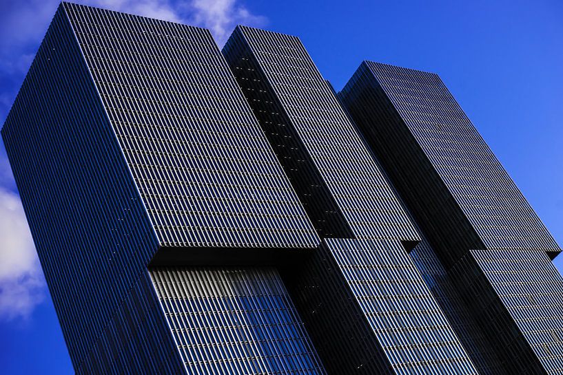 De Rotterdam Kleur von Tim Kreike