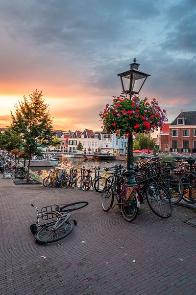 Leiden - Radfahren gegen Laternenpfahl auf dem Aalmarkt (0120) von Reezyard