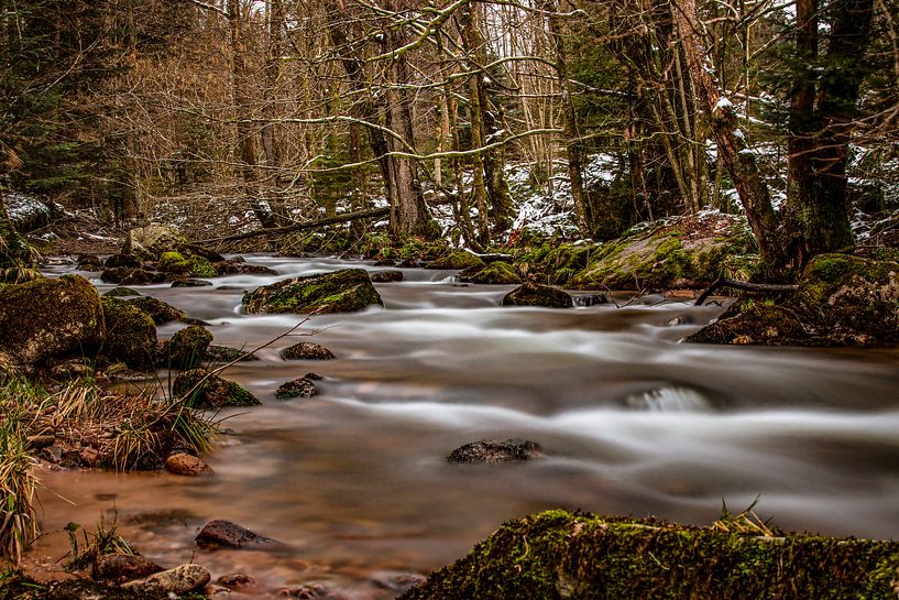 Waldbach von Thomas Heitz