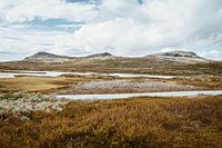 Une Norvège haute en couleurs