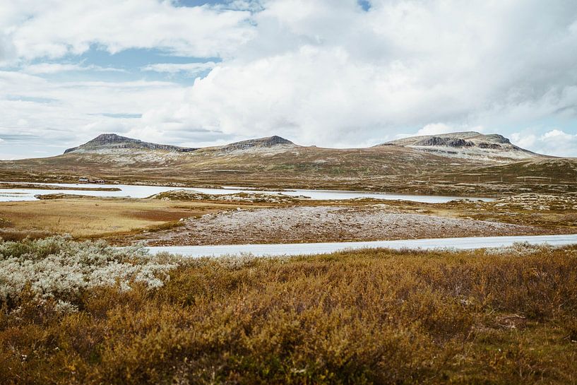 Buntes Norwegen von Anneloes van Acht