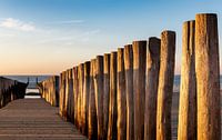 Strandpfosten im Abendlicht 2