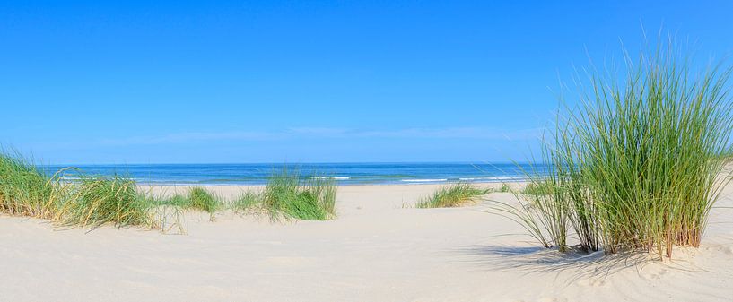 Herbe de dunes sur la plage de la mer du Nord un jour d'été en Hollande par Sjoerd van der Wal Photographie