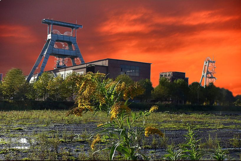 Sonnenuntergang in Herten par Edgar Schermaul