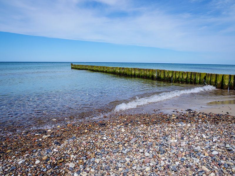 Banc de coquillages avec épi à la mer Baltique par Animaflora PicsStock
