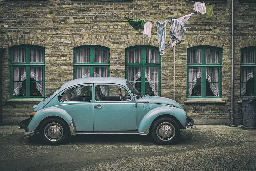 Käfer von Peter Nijsen