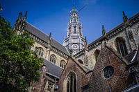 Grote kerk, Haarlem centrum (Holland)