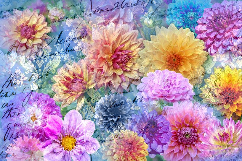 Dahliensommer von christine b-b müller