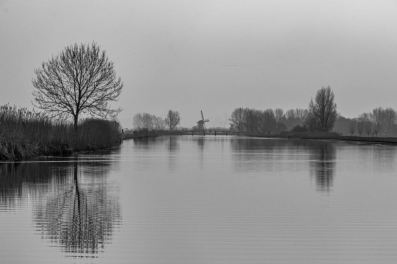 rest by Nicolette Uchtmann