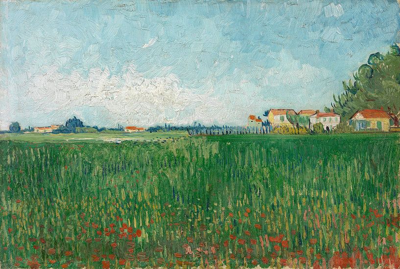 Vincent van Gogh, Feld mit Mohnblumen von 1000 Schilderijen