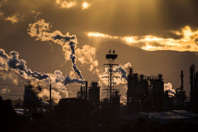 Un lieu de vie par Juan Jesus  Gonzalez Ahumada