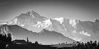 Panorama des Alpes suisses en noir et blanc