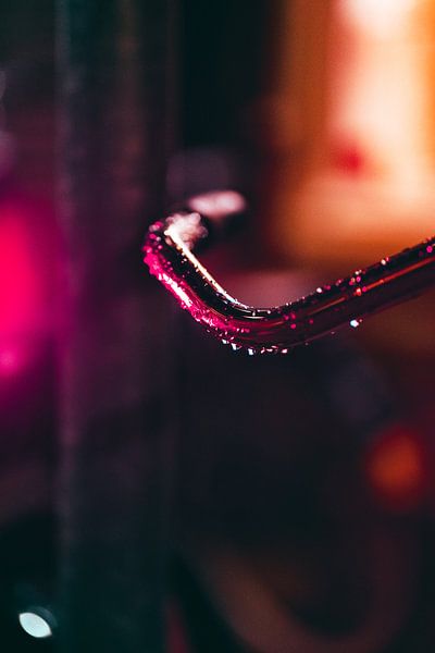 Evening steps (vertical) by Roel Timmermans