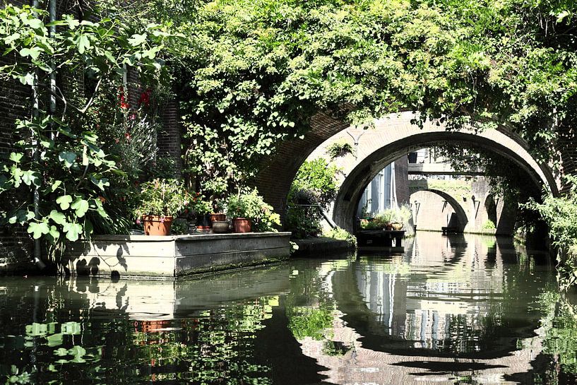 Heaven on earth to water by Erik Stekelenburg