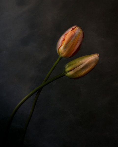 Kreuz und Quer von Iris van Heusden