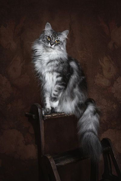 Portrait d'art vintage du chat Maine Coon par Nikki IJsendoorn