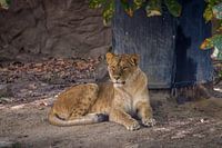 Where are you going?