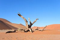 Sossusvlei, minimalistische Landschaft