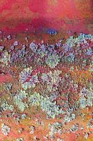 paysage cultivé abstrait