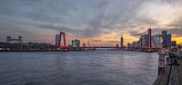 Willemsbrug Rotterdam