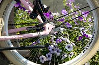 Vélo rose avec des fleurs