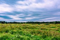 Uitzicht bij fort Panerden