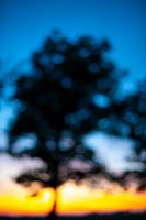 Dämmerung in Nordholland