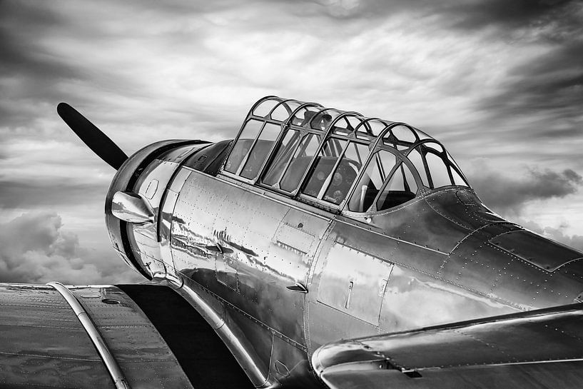 airplane by Frank Peters