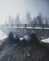Brug in de Harz met sneeuw