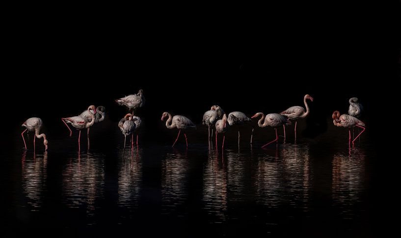 Treffen von Hennie Zeij