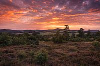 Feuer in der Vulkaneifel