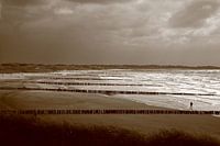 Stangenreihen von den Dünen ins Meer