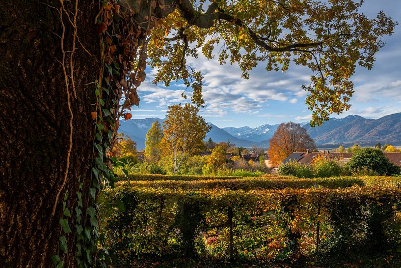 Herbstlandschaft in Munrau mit Blick zu den Alpen von ManfredFotos