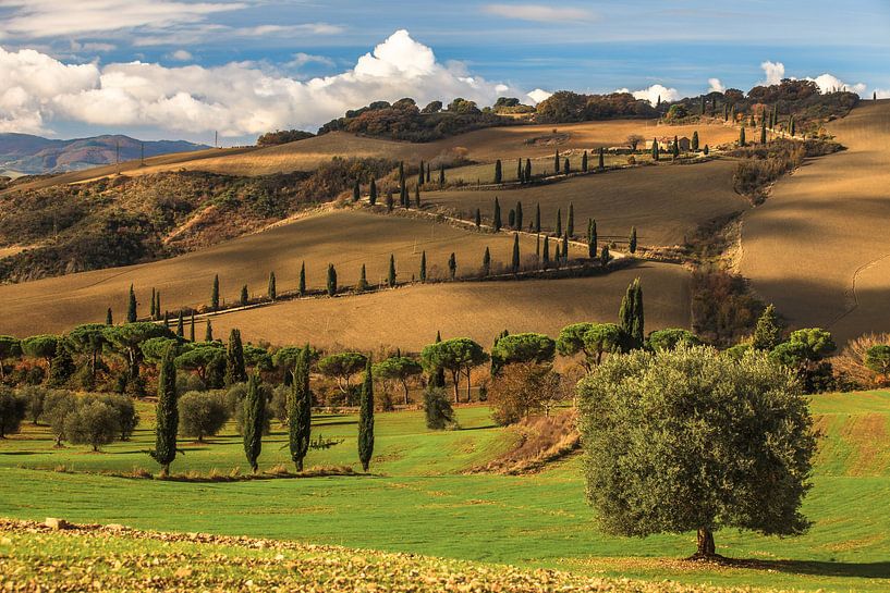 Sweet Tuscany by Marc Smits